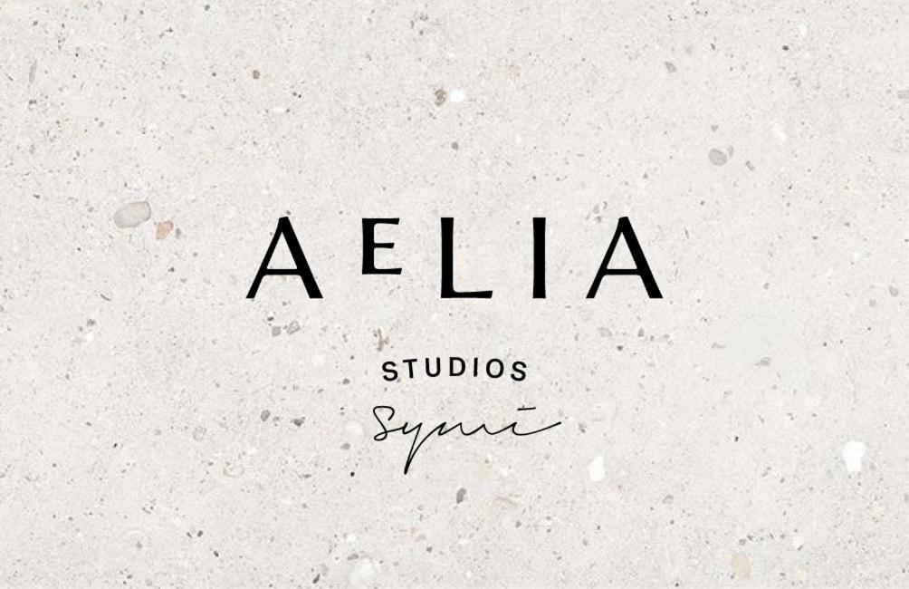 Aelia Studio سيمي المظهر الخارجي الصورة